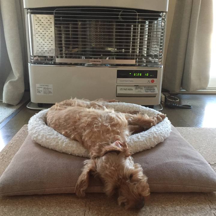 D0a38296 3631 435f ba28 6957e754c26f