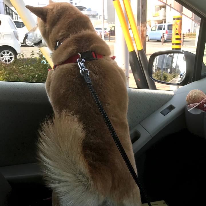 D0a39a48 89a0 4cd2 97bc 5067a6c2797d