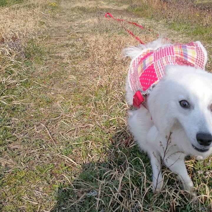 D0a3c8e4 0904 41b9 a16e 42c72281fc0d