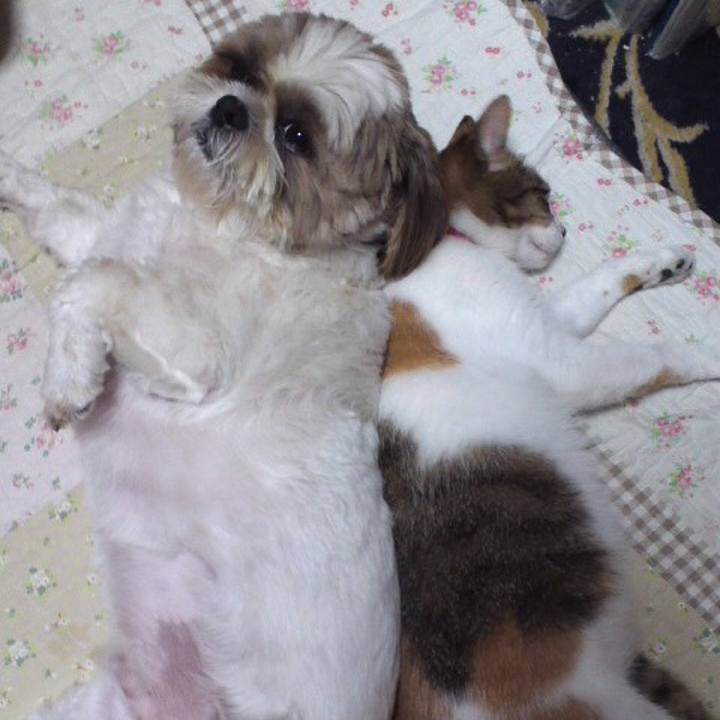 D0a4abd8 ac42 4e2c a6f0 a028b0a8018e