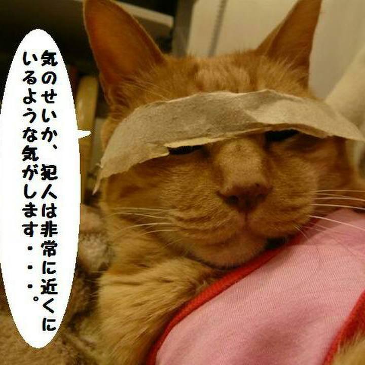 D0a4bbd6 f2fa 40b4 bfab d50818507f75