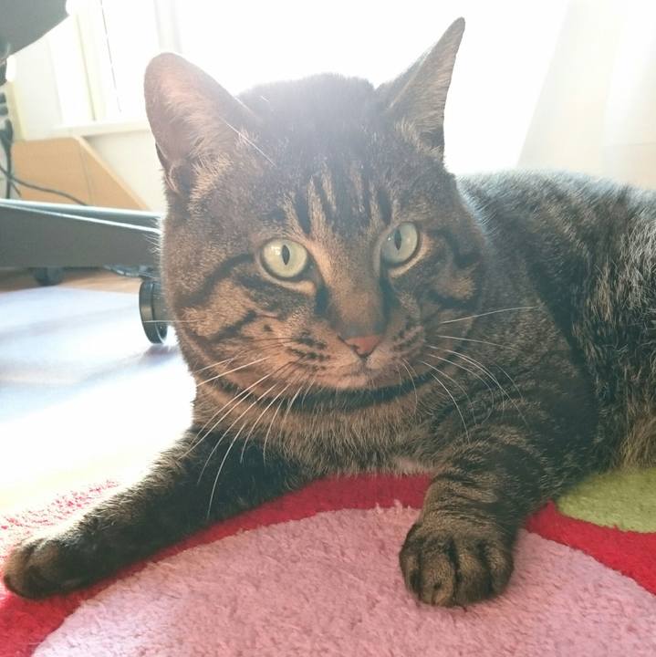 D0a4e8d3 44e4 4782 a571 411ebcb5501a