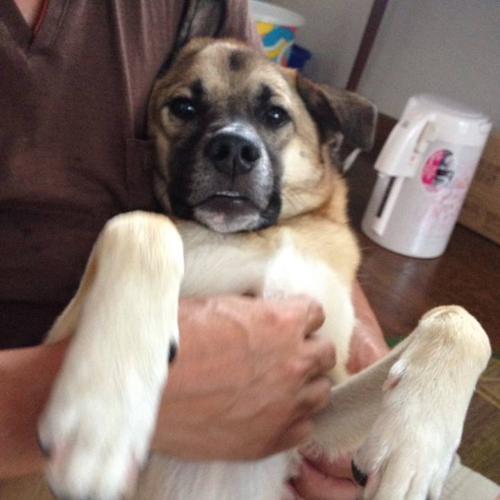 D0a54e7a 0f99 4c35 b2fa 98ef66d654ca