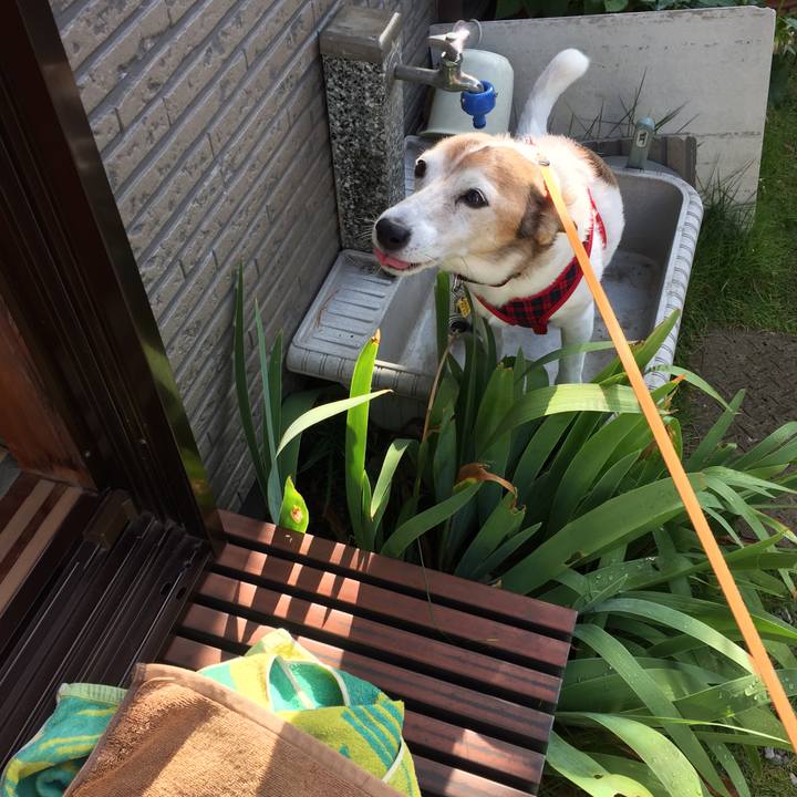 D0a5cde8 9e65 455a 8abb b5f14ef46b27