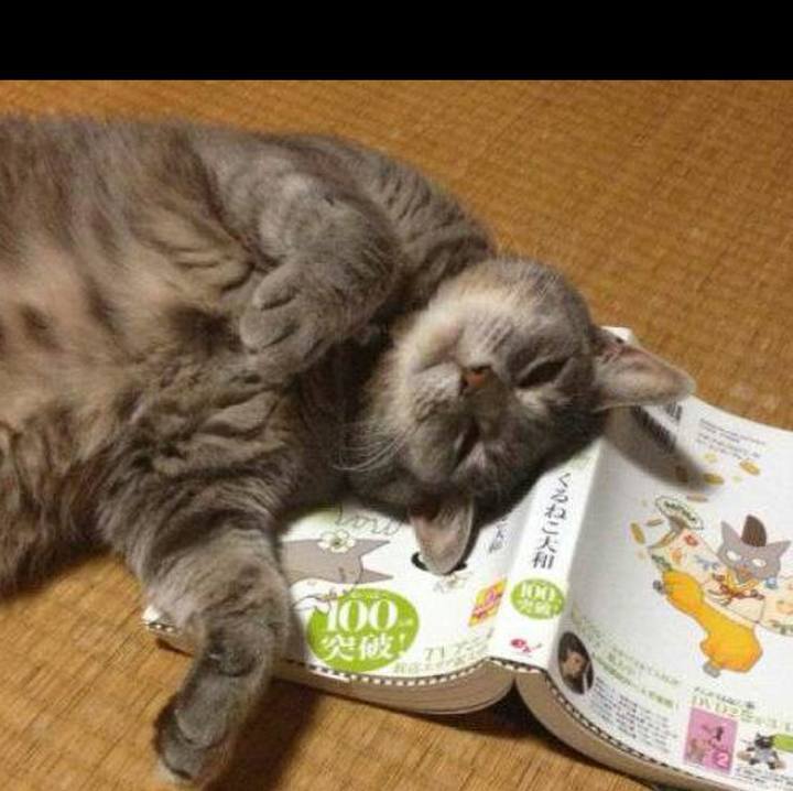 D0a7607c d37e 4010 a3d1 abd0a45fab8c