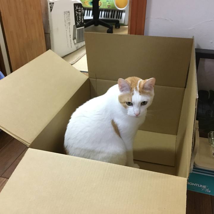 D0a79d48 e100 4a0d 939e 2c5baf29511b