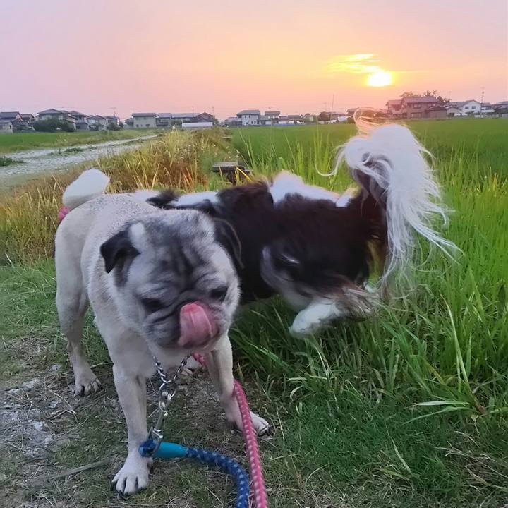 D0a9d7dd bea1 4a4f 9eb8 ae702660db0d