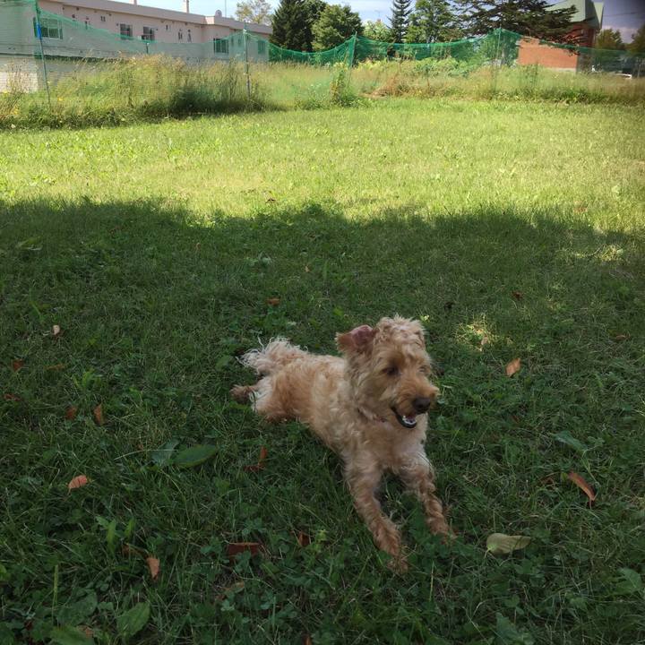 D0a9ed2f 5ef8 4a36 ba96 14345f385ac7