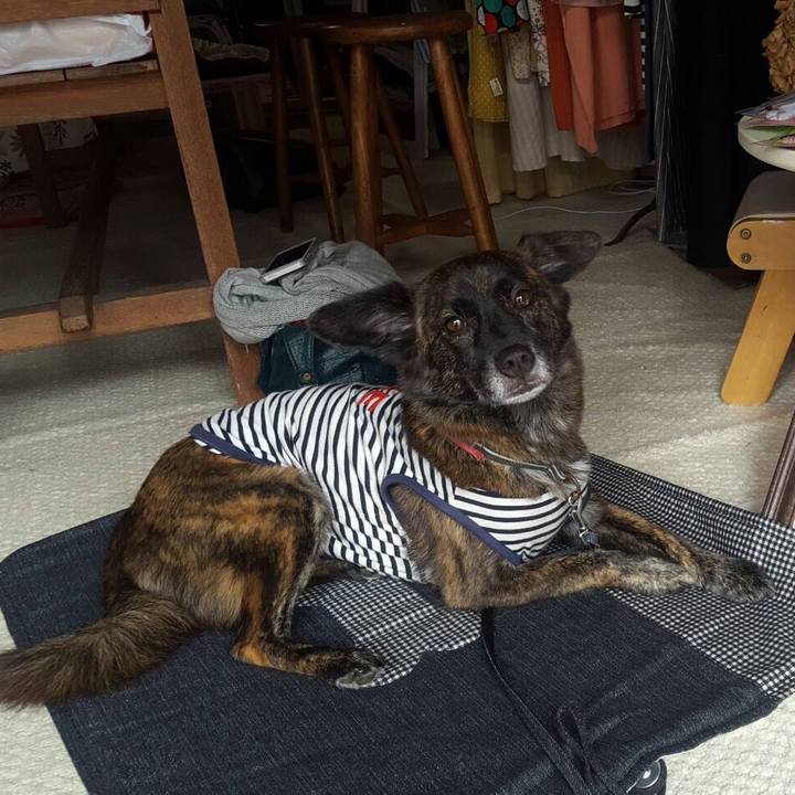 D0a9f4c5 99a7 4139 bf84 173d914208f5