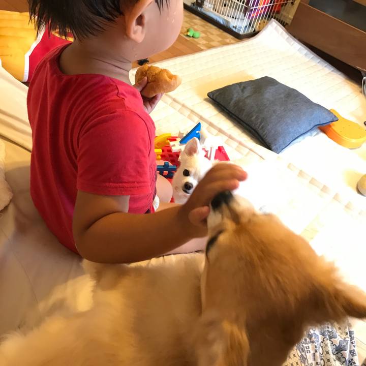 D0aa90c6 8377 4dae a8c9 d45eaa20ca68