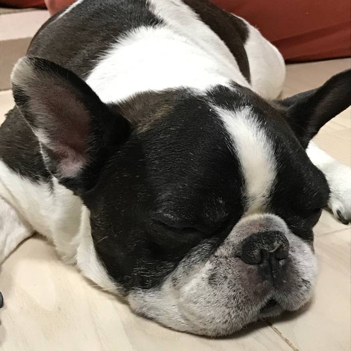 D0aa9fe0 9065 48f8 a489 f95d4a99d448