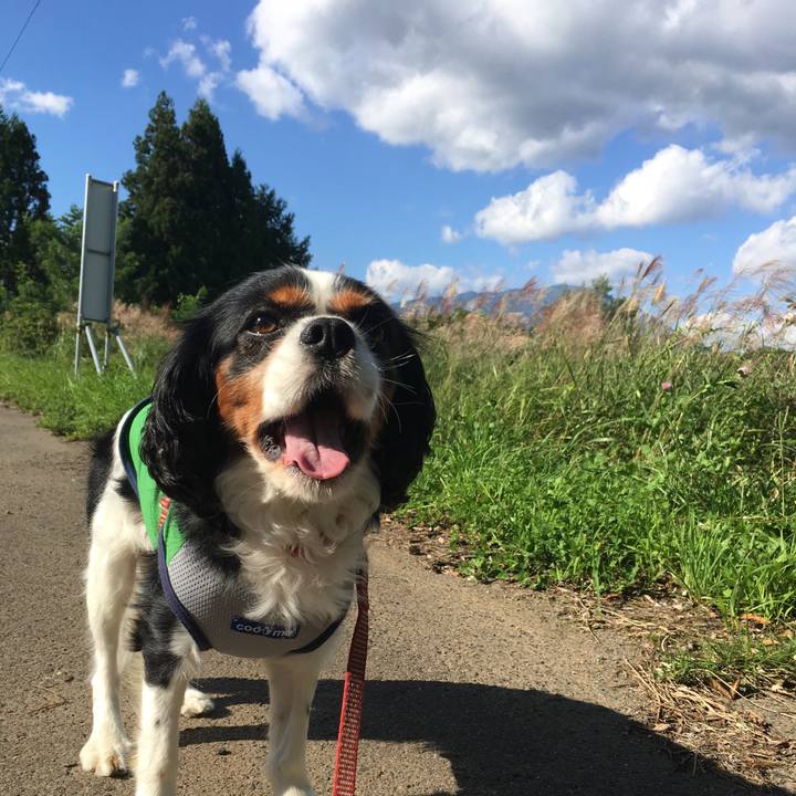 D0aab7f3 a6e2 48dd b67b 27841f7876e9