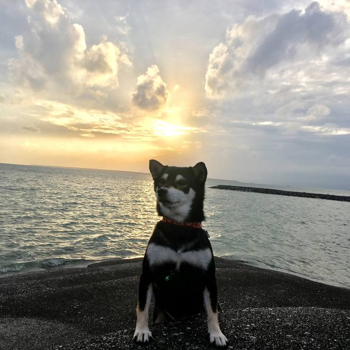 D0ab21b7 def6 483e b4ce d8a202ef7bf4