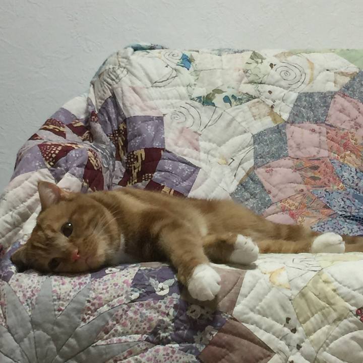 D0abe5a1 fc8c 496e 8915 d9a4bac44bbe