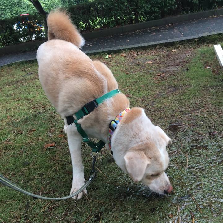 D0abf858 b15e 4b6c 912e 42a59ce2a9c7