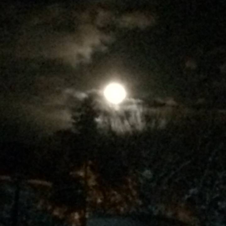 D0ac806c f500 4aac 91a6 21c79585d352