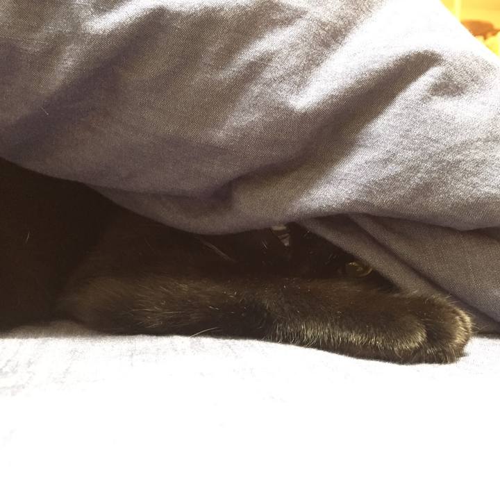 D0ad9cb9 758a 4f8b 9f6d 7ae322c38739