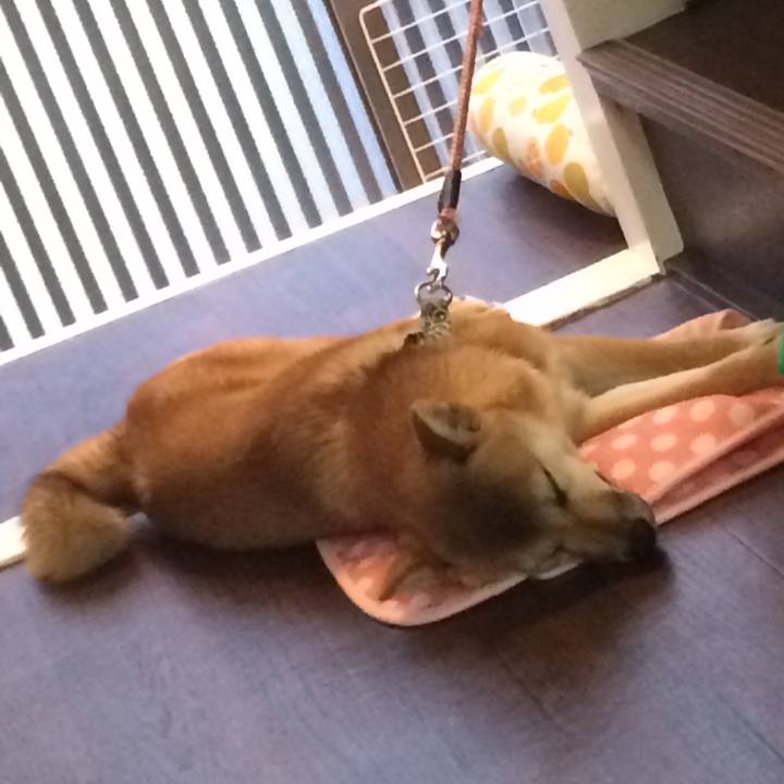 D0add3c8 1331 49f1 a927 4dec82dffe8d