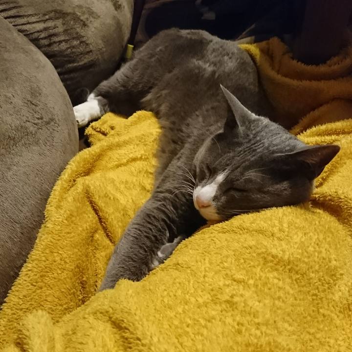 D0ae1da2 1475 49cd aa50 770a92fcfcc7