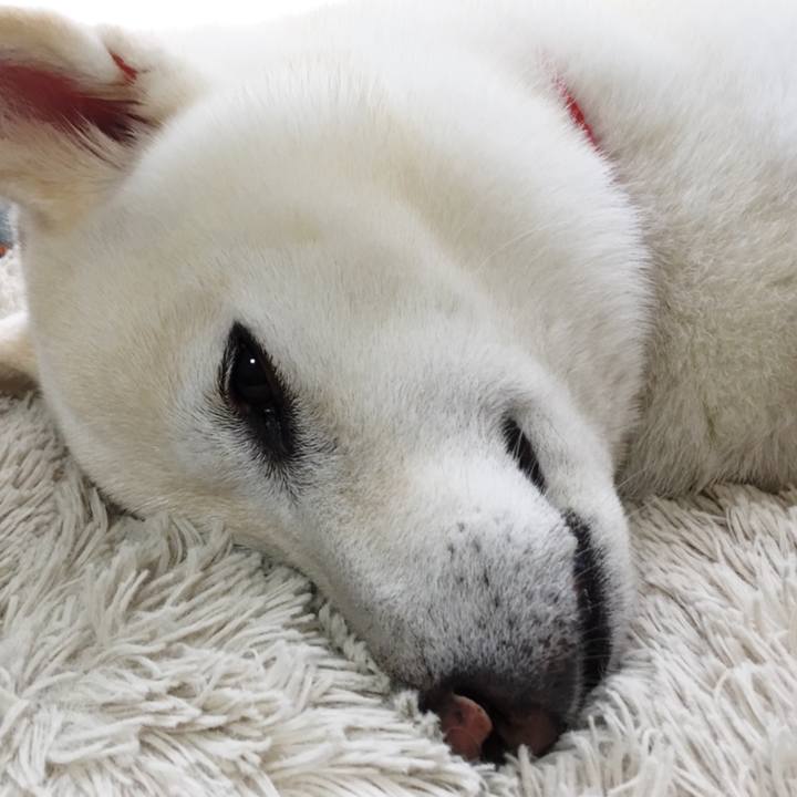 D0ae8f26 9c61 4a41 ba39 9d7f9de8dfb1