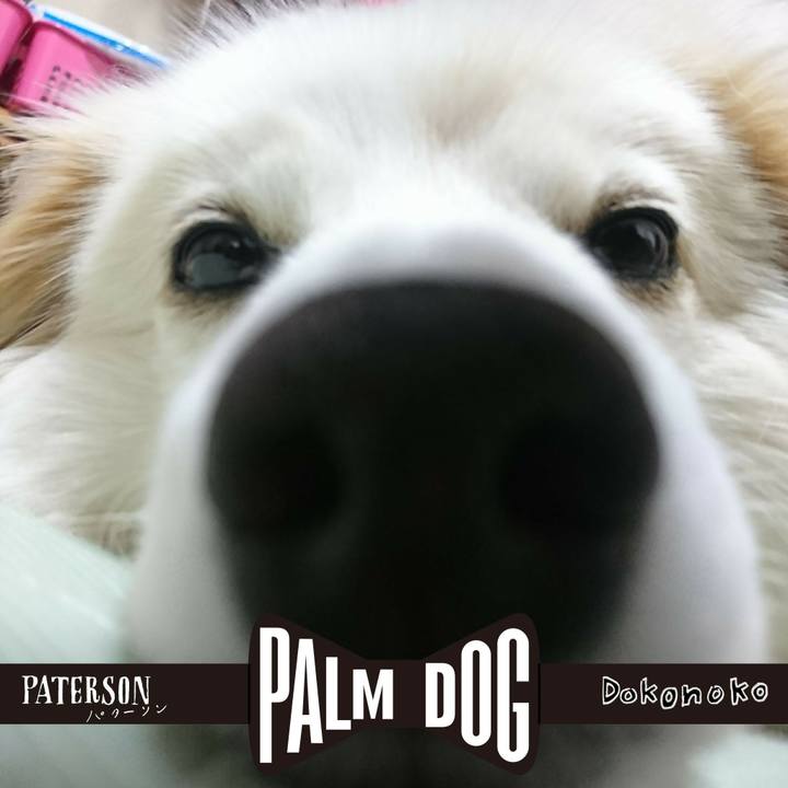 D0aecf2b f275 49c7 847e ce186dcb8ba4