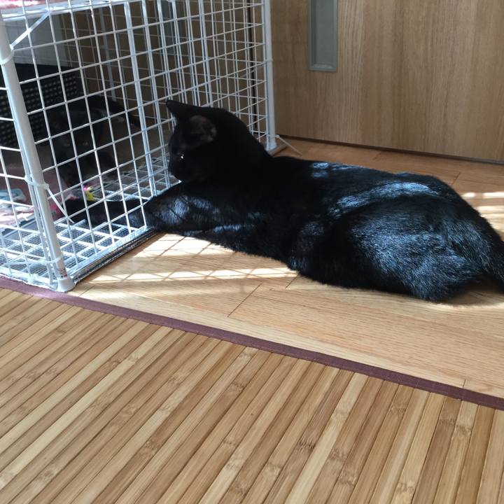 D0afdf53 e64d 40d0 bb86 4563b4f0cf42