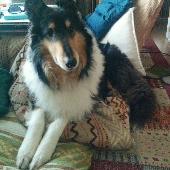 D0b07315 7154 432e 8ba4 a19e326c8281