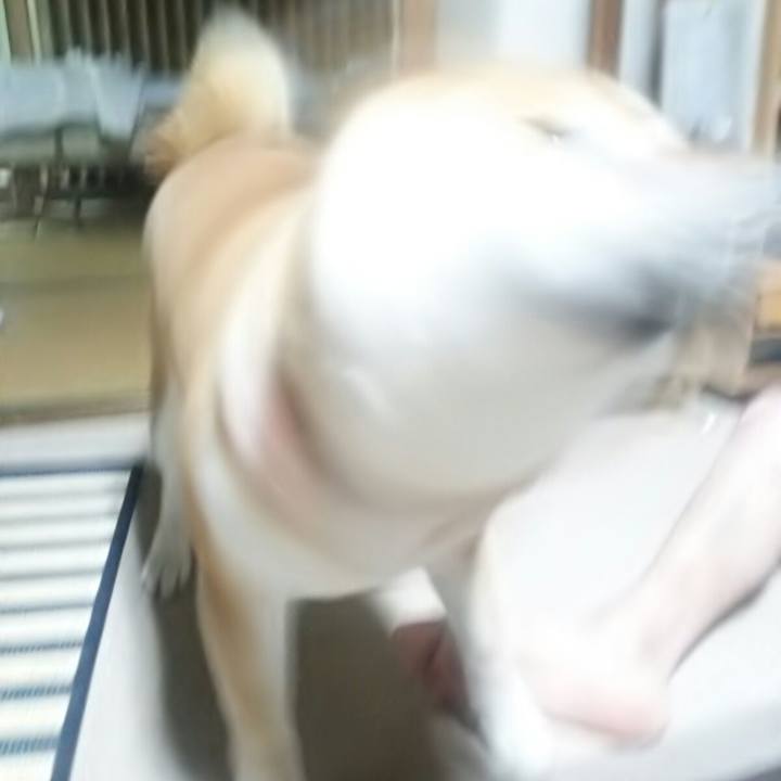 D0b116f9 728d 4a87 bdcb 70ea20ef3ad9