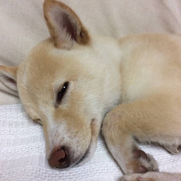 D0b184f5 9579 4020 b7c4 2d2a962d2bcb