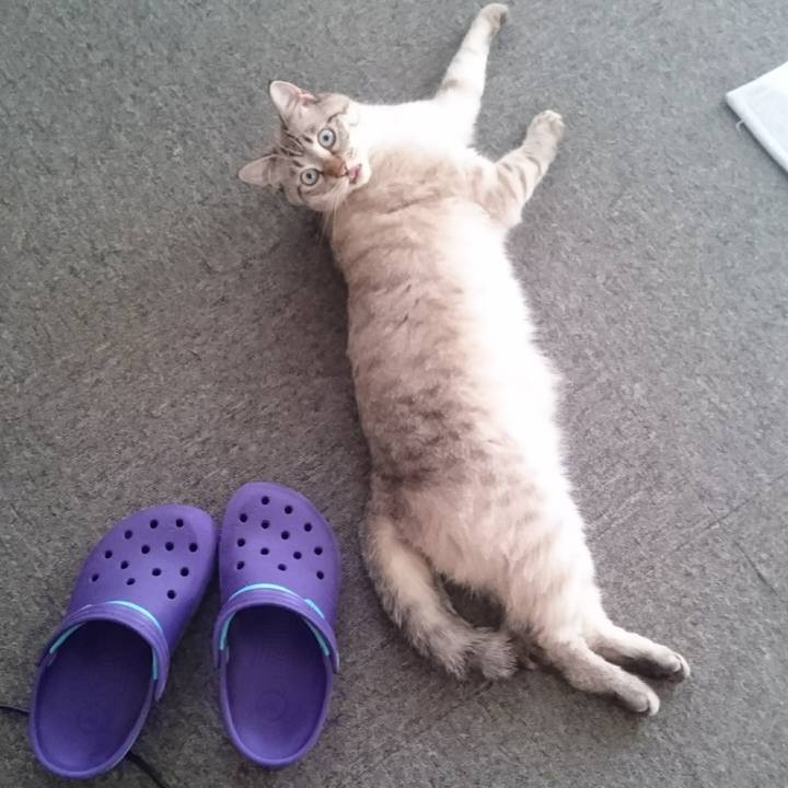 D0b1f060 8eaf 4824 a61b 2461305be78a