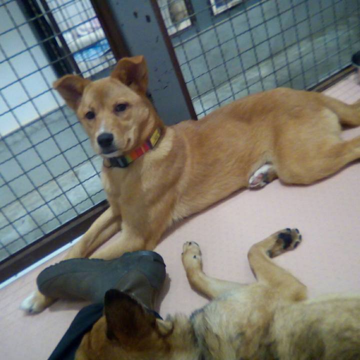 D0b2e673 131d 4531 b937 3f30e21049e3