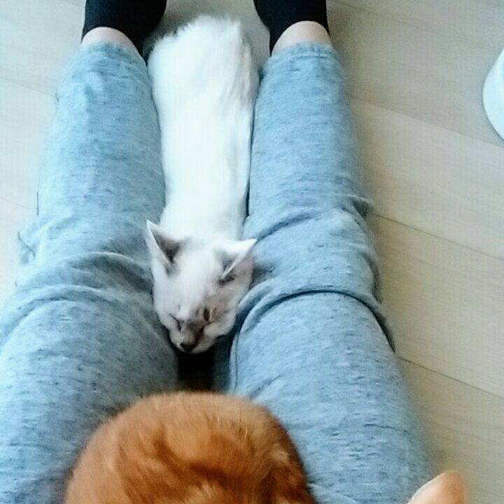 D0b3606a 1641 44f0 915b 7ee48aadf031