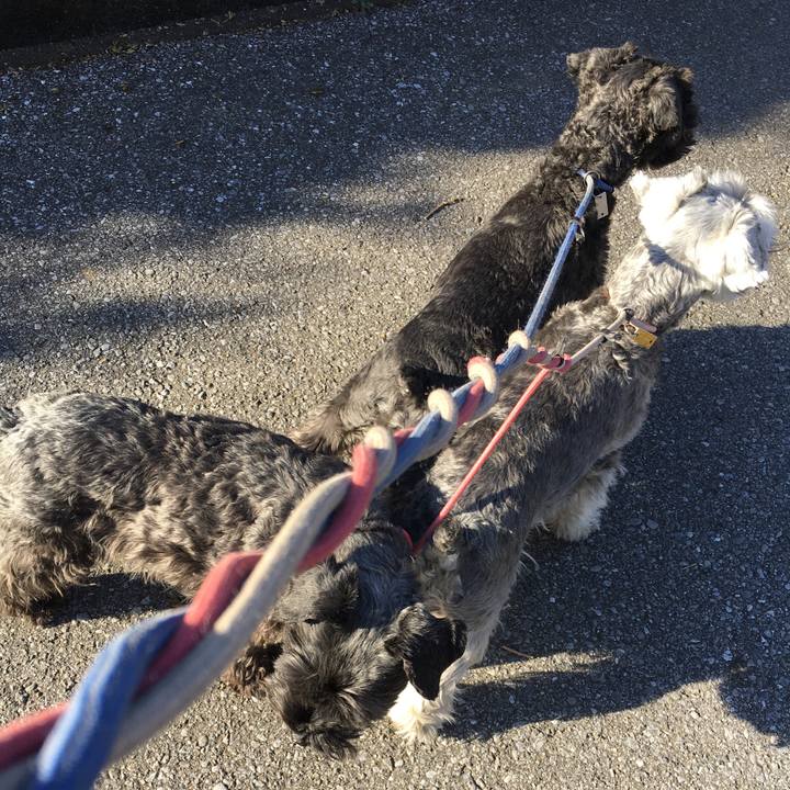 D0b364c9 0b71 4f94 a74e bf2803425189