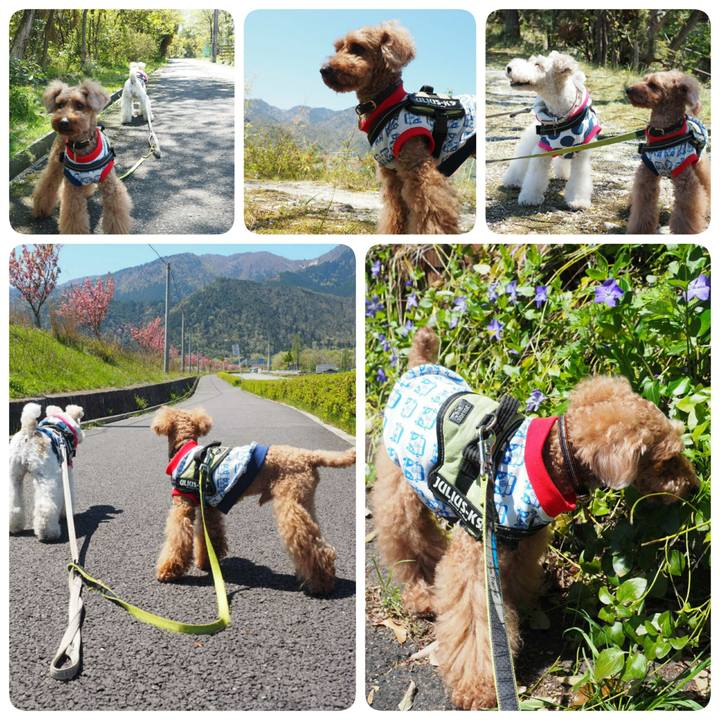 D0b391fc 4287 4f34 8eec e9567abcffa8