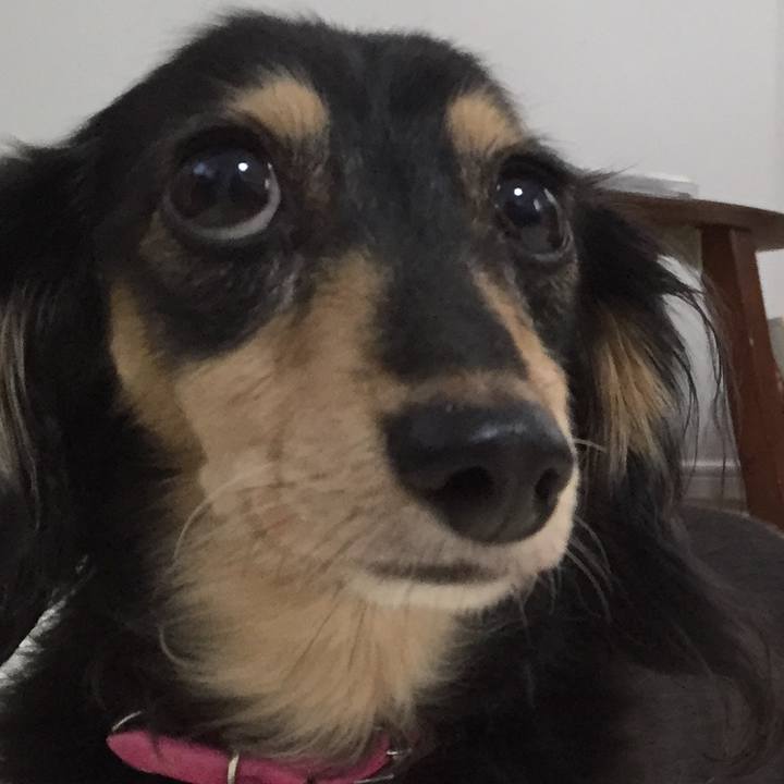 D0b3b367 af75 46e9 b32d 12d540b4fa69