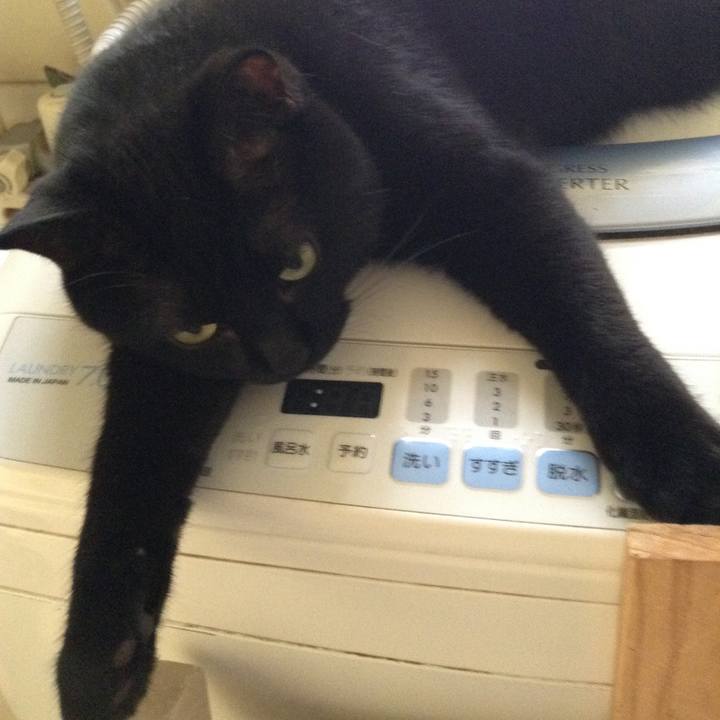 D0b3c1d7 059f 4e53 9c7e f0596166f406