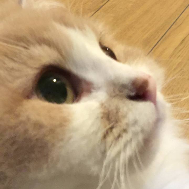 D0b4553e a039 47cc 8f1c cc9888e1d5f8