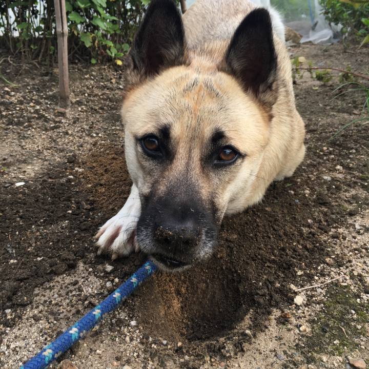 D0b4850b 250c 4c75 891d 39ed0b272053