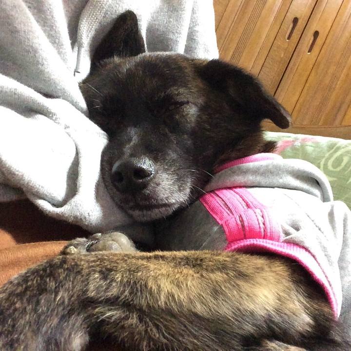 D0b48b82 e8a7 460e be9d f5f6320d1639