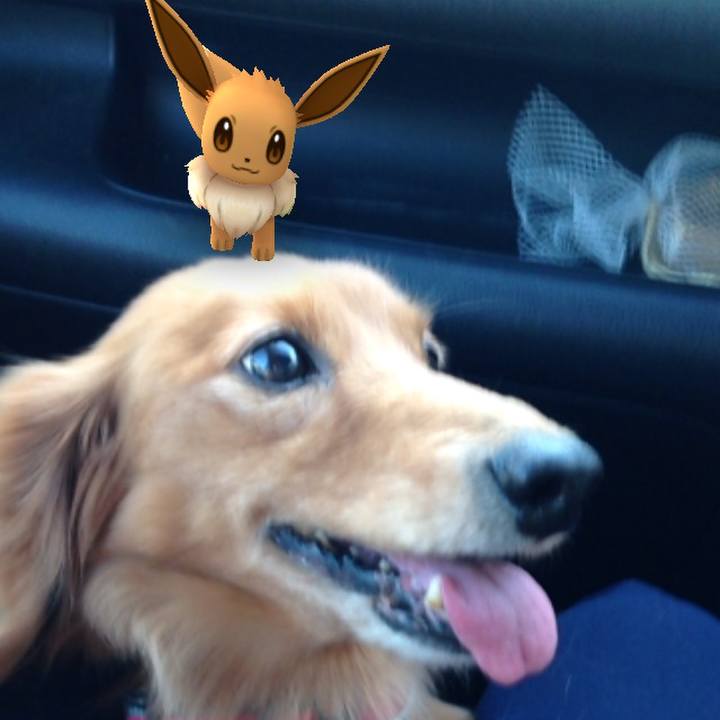 D0b4a0a5 ea2c 44eb 9d38 1f699b869d3e