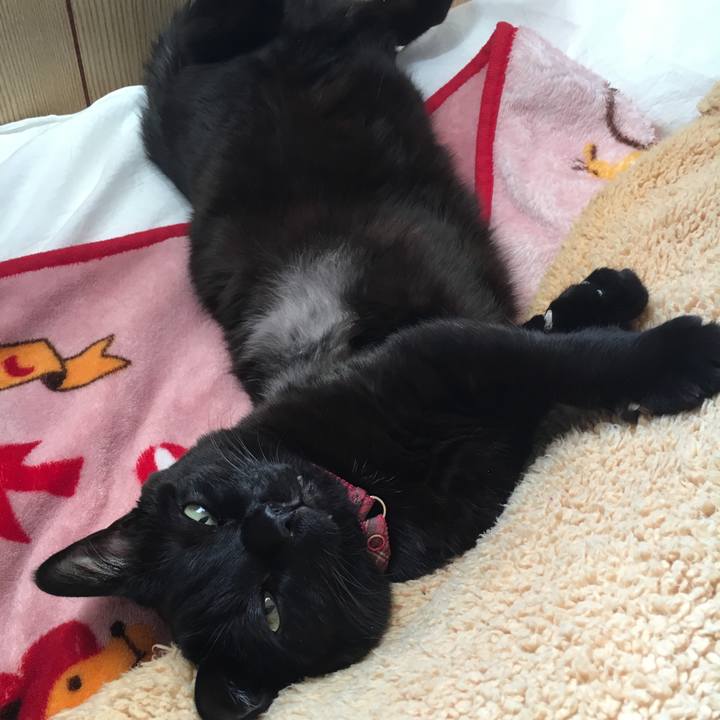 D0b4a740 0d07 4290 b51c 4b54c6fe912b