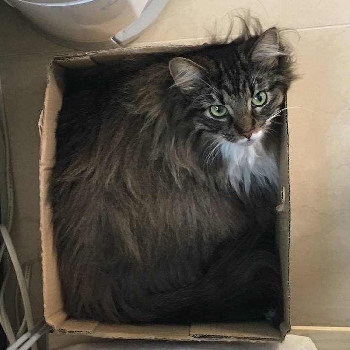 D0b519a5 0c35 44c2 a33c daa85f05342e