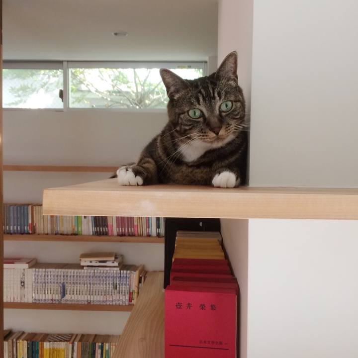 D0b5a06e 5526 4f1d 9d3b 8c6a18fbe7af