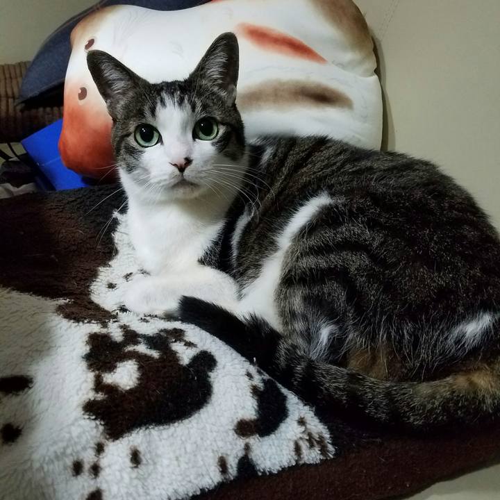 D0b5a6e8 ad1a 4537 be24 3e77fb46c4bf