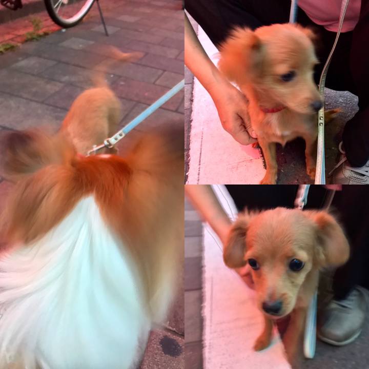 D0b5ec3b f67b 4317 a4a5 c83e37cf6d5b