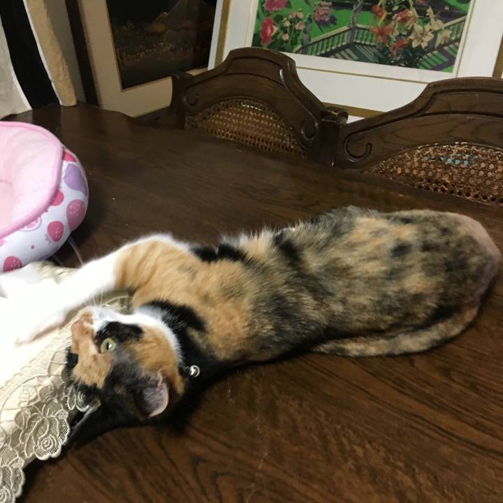 D0b64934 4679 470b 803c 98d935f4549e