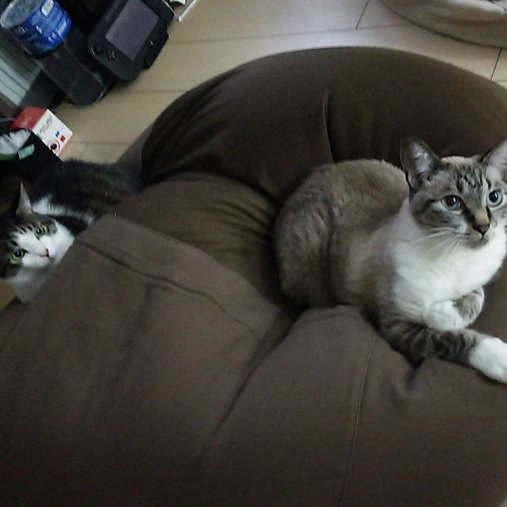 D0b70a29 66ec 4793 b382 e513ac350395