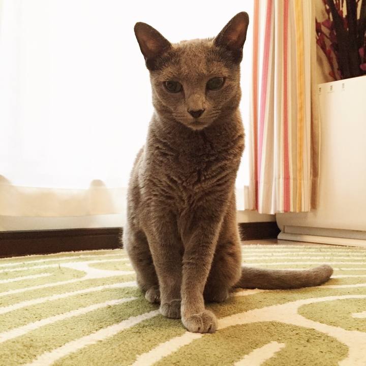 D0b70f62 6826 4e1b 8d97 6bee1dc933db