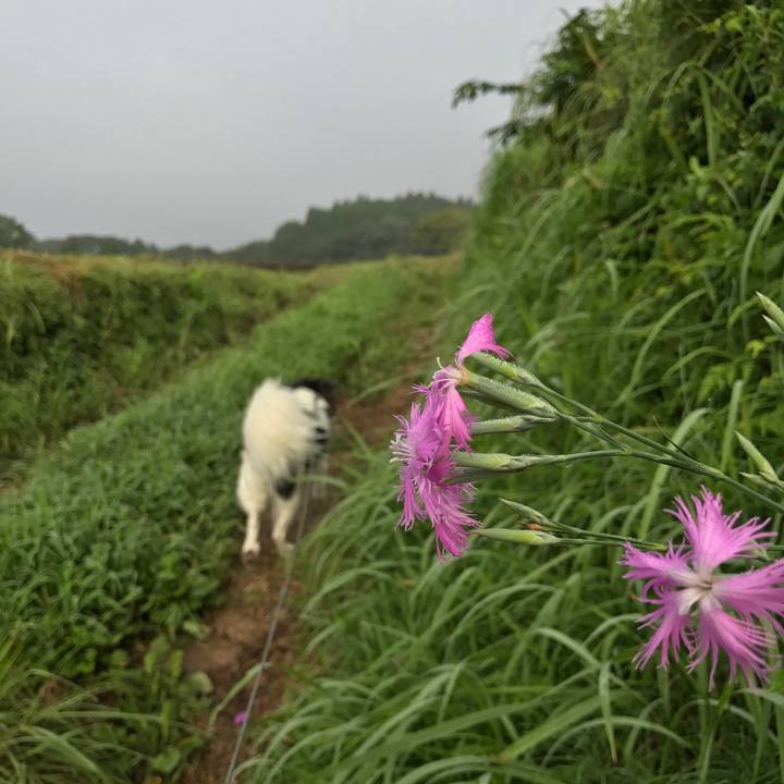 D0b71a67 85df 4bfb aeb0 4d5914181796