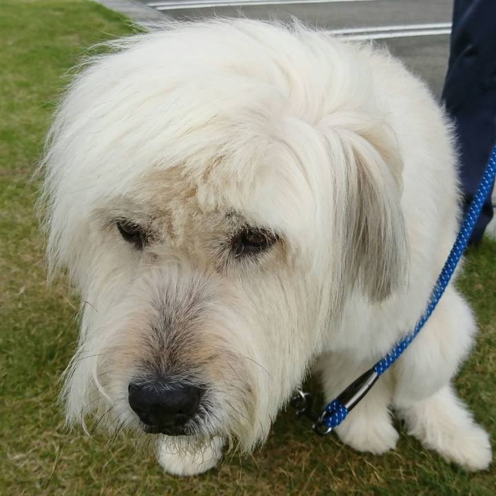 D0b7439c e854 40ab 8cee 83367e8a0d47